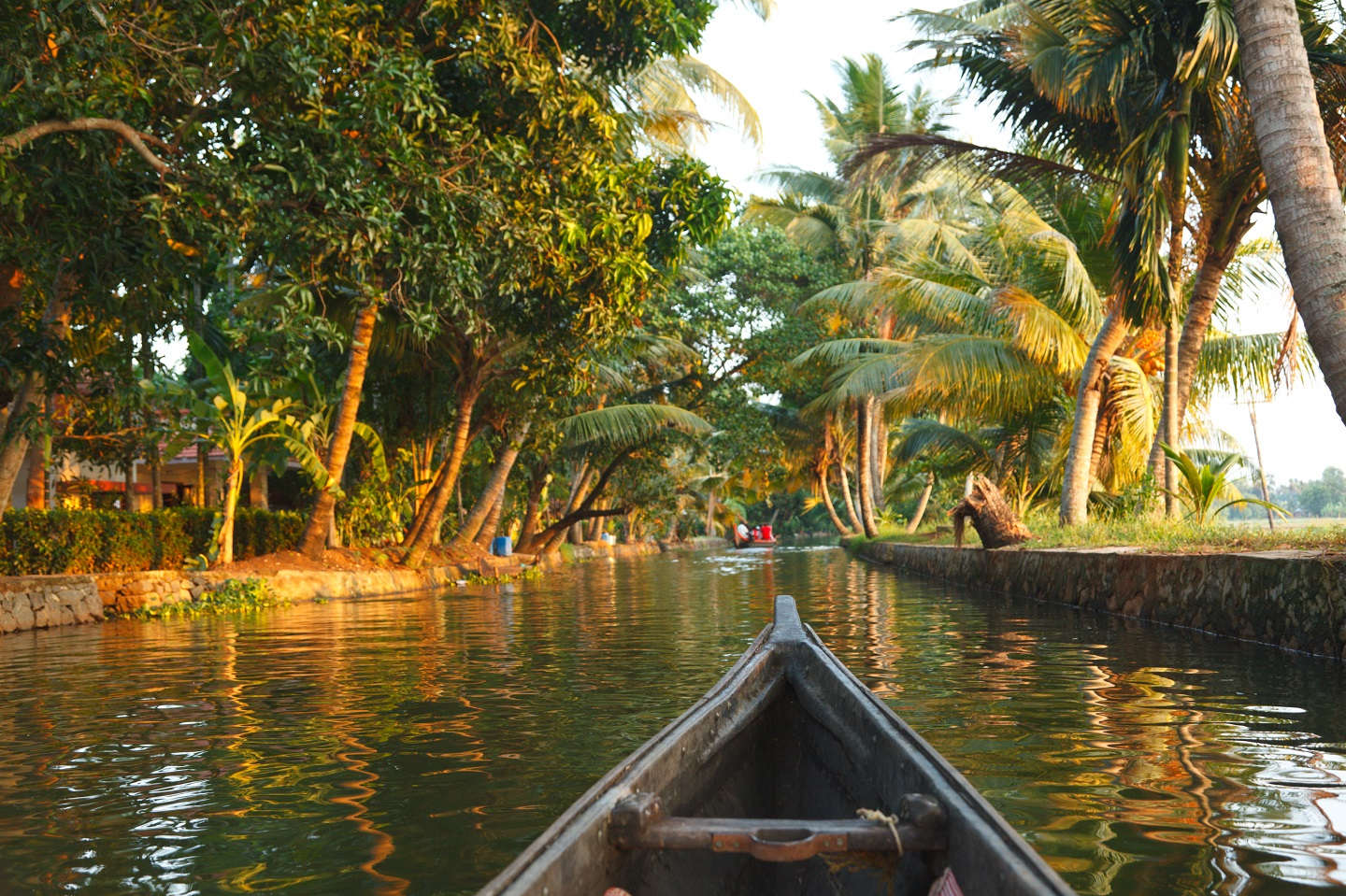 Canal and tropical landscape in Kochi, India